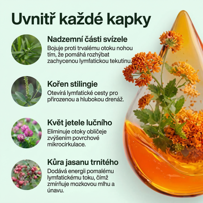 Drena+ tekutá lymfatická podpora